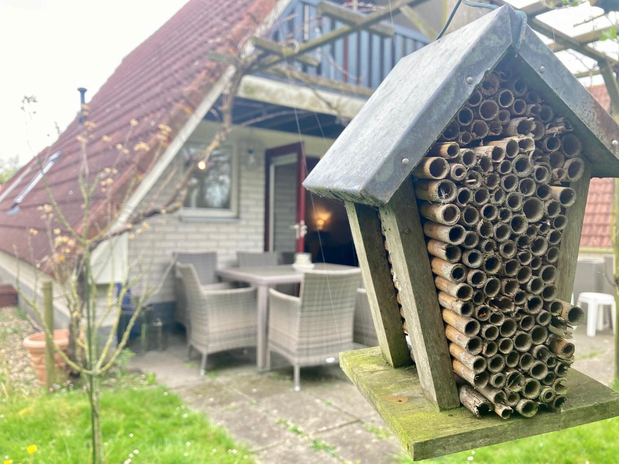 De Druif 6 Pers Holiday Home Close To The National Park Lauwersmeer Anjum Eksteriør billede